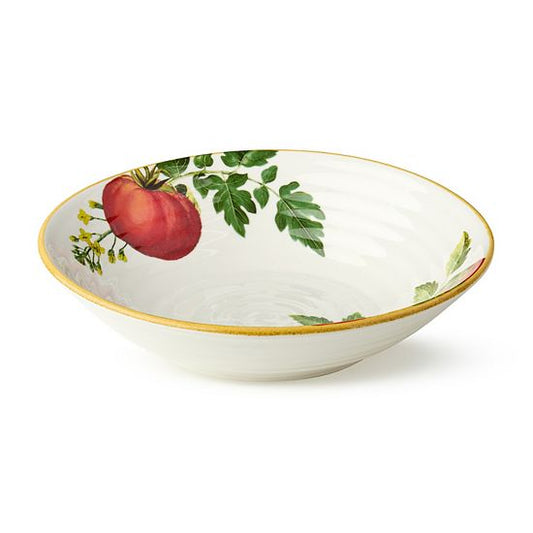  Certified International 4-pc. Pomodoro Pasta Bowl Set
